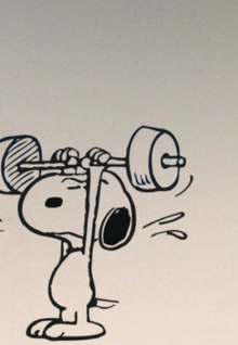 Colpatuameritomio blog