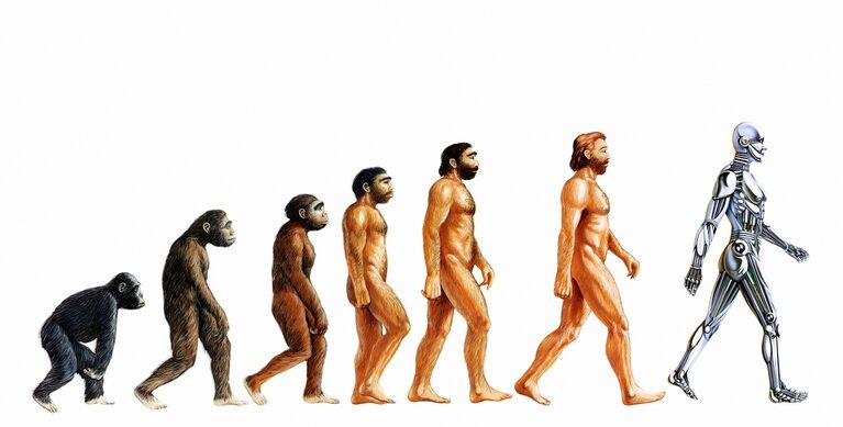 15461 human evolution