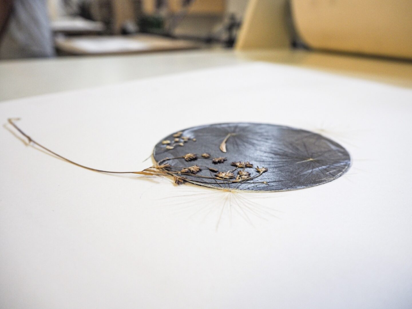 Post fatta192 1536x1152